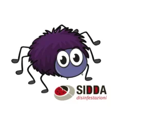 Disinfestazione da Ragno Violino; immagine disegnata;